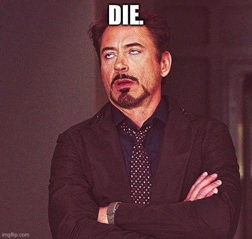 Robert Downey Jr Annoyed | DIE. | image tagged in robert downey jr annoyed | made w/ Imgflip meme maker
