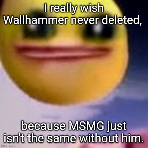 fortnite balls | I really wish Wallhammer never deleted, because MSMG just isn't the same without him. | image tagged in fortnite balls | made w/ Imgflip meme maker