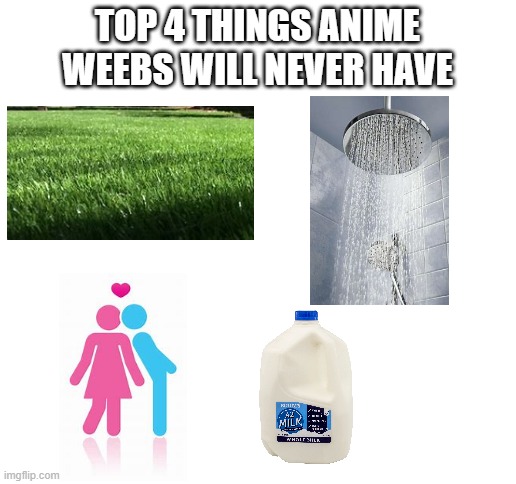 pretend this is funny | TOP 4 THINGS ANIME WEEBS WILL NEVER HAVE | image tagged in blank white template,anime | made w/ Imgflip meme maker