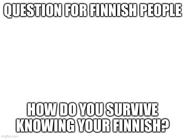 QUESTION FOR FINNISH PEOPLE; HOW DO YOU SURVIVE KNOWING YOUR FINNISH? | image tagged in memes | made w/ Imgflip meme maker