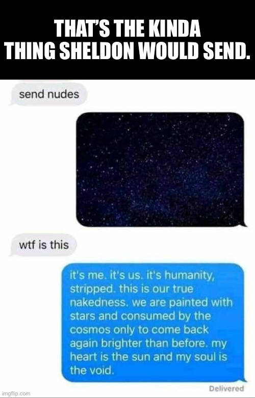 Sort of thing Sheldon would text | THAT’S THE KINDA THING SHELDON WOULD SEND. | image tagged in sheldon,big bang theory,text messages,funny,memes | made w/ Imgflip meme maker