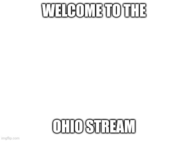 Welcome | WELCOME TO THE; OHIO STREAM | image tagged in ohio | made w/ Imgflip meme maker