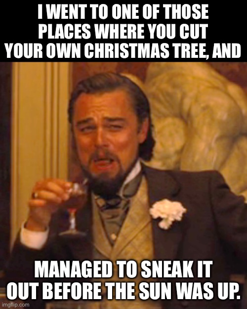 Oh Christmas Tree | I WENT TO ONE OF THOSE PLACES WHERE YOU CUT YOUR OWN CHRISTMAS TREE, AND; MANAGED TO SNEAK IT OUT BEFORE THE SUN WAS UP. | image tagged in memes,laughing leo | made w/ Imgflip meme maker