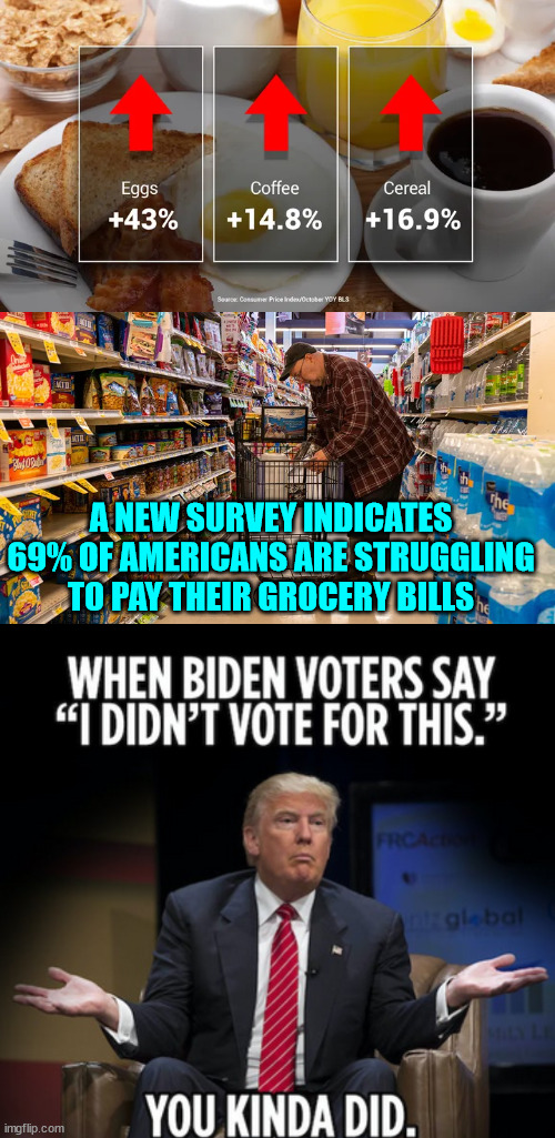 For the first time in DECADES, the cost of food has become a major issue in America. | A NEW SURVEY INDICATES 69% OF AMERICANS ARE STRUGGLING TO PAY THEIR GROCERY BILLS | image tagged in biden,inflation | made w/ Imgflip meme maker