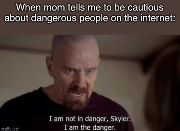 I am the danger - Imgflip