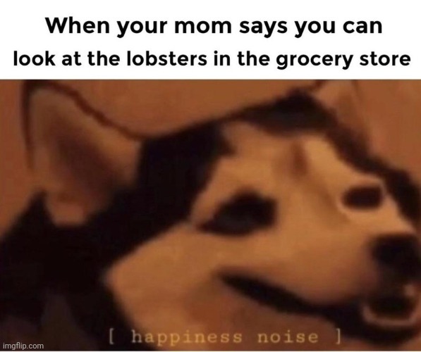 image tagged in memes,lobster | made w/ Imgflip meme maker