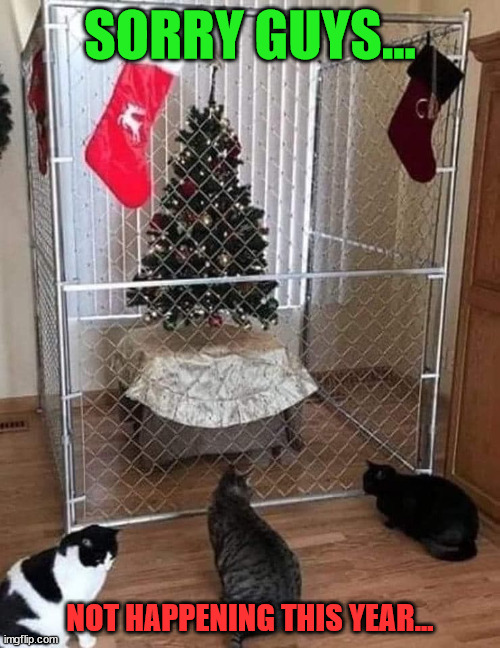 Cat proof Christmas tree... | SORRY GUYS... NOT HAPPENING THIS YEAR... | image tagged in christmas tree | made w/ Imgflip meme maker
