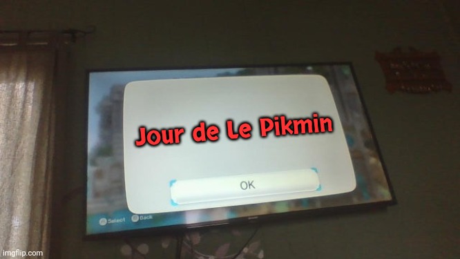Blank wii error screen | Jour de Le Pikmin | image tagged in blank wii error screen | made w/ Imgflip meme maker