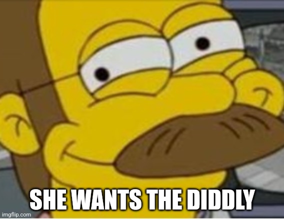 Diddly | SHE WANTS THE DIDDLY | image tagged in ned flanders mischievous smile | made w/ Imgflip meme maker