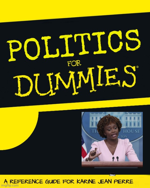 For Dummies | POLITICS; A REFERENCE GUIDE FOR KARINE JEAN PIERRE | image tagged in for dummies | made w/ Imgflip meme maker