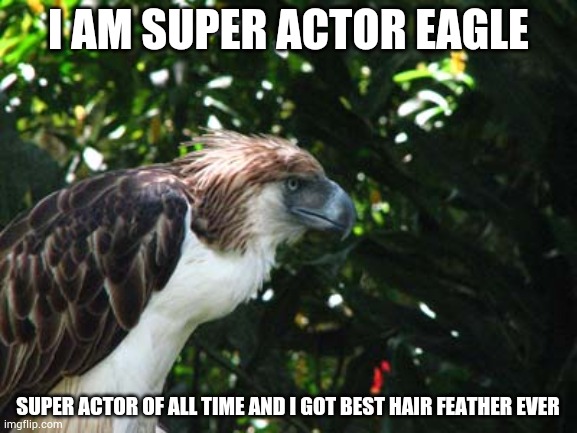 Mighty actor Eagle | I AM SUPER ACTOR EAGLE; SUPER ACTOR OF ALL TIME AND I GOT BEST HAIR FEATHER EVER | image tagged in eagle,birds | made w/ Imgflip meme maker