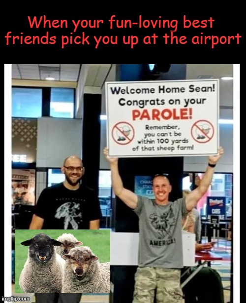 Laughing but with a red face . . . | When your fun-loving best 
friends pick you up at the airport | image tagged in dark humor,oh no,friends,lol,imgflip humor,with friends like these | made w/ Imgflip meme maker