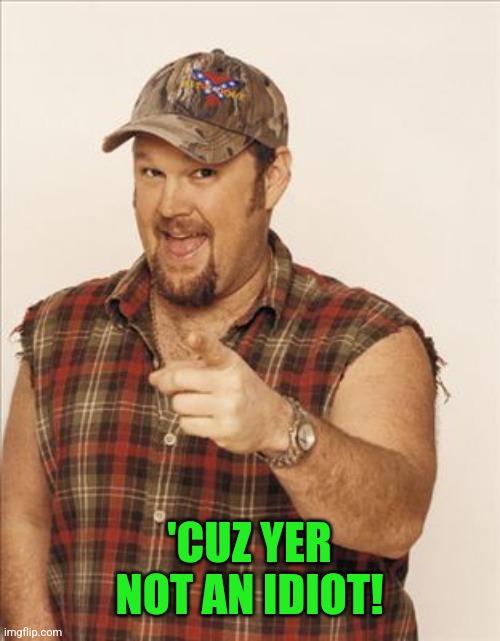 Larry The Cable Guy | 'CUZ YER NOT AN IDIOT! | image tagged in larry the cable guy | made w/ Imgflip meme maker