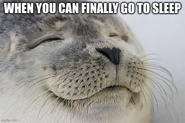 Satisfied Seal Meme | WHEN YOU CAN FINALLY GO TO SLEEP | image tagged in memes,satisfied seal | made w/ Imgflip meme maker