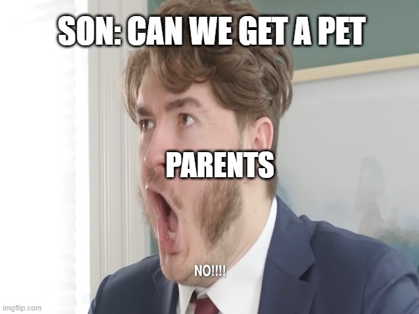 the new  jschlatt format | SON: CAN WE GET A PET; PARENTS | image tagged in family | made w/ Imgflip meme maker