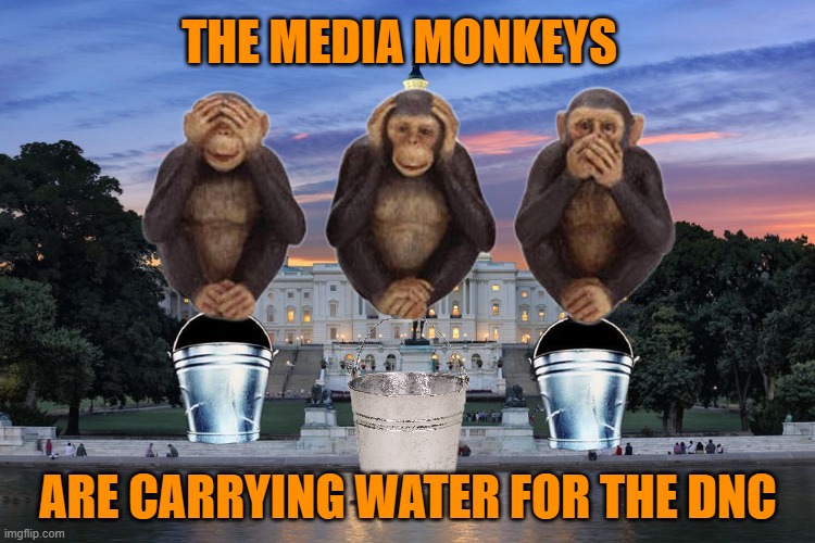 Media Monkeys | THE MEDIA MONKEYS; ARE CARRYING WATER FOR THE DNC | image tagged in fake news,dc circus | made w/ Imgflip meme maker