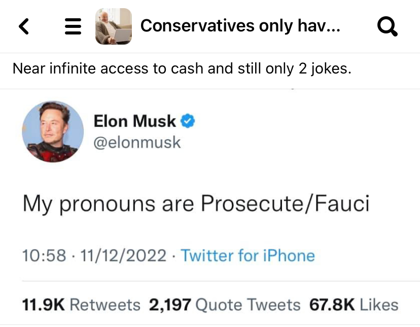 Elon Musk pronouns prosecute Fauci Blank Meme Template