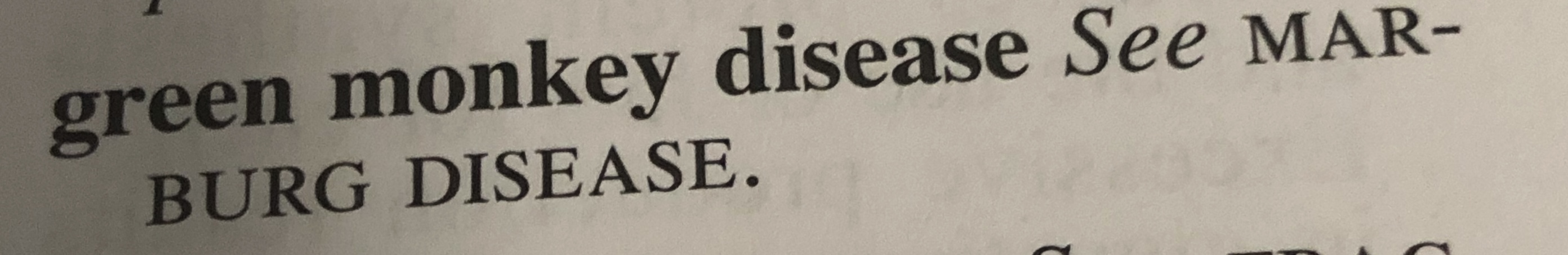 Monke Blank Meme Template