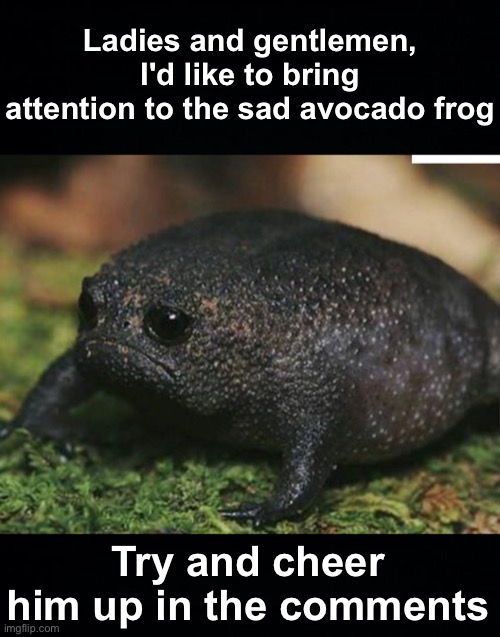 Do all means necessary to make him smile | Ladies and gentlemen, I'd like to bring attention to the sad avocado frog; Try and cheer him up in the comments | image tagged in memes,unfunny | made w/ Imgflip meme maker
