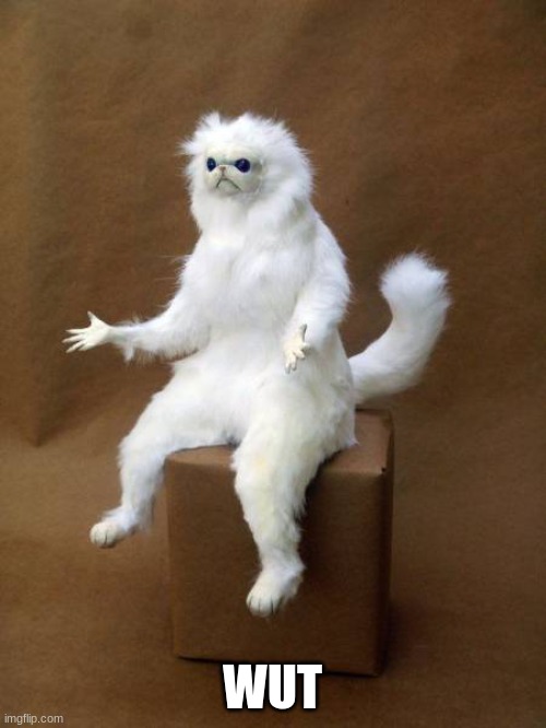 wut | WUT | image tagged in wut | made w/ Imgflip meme maker