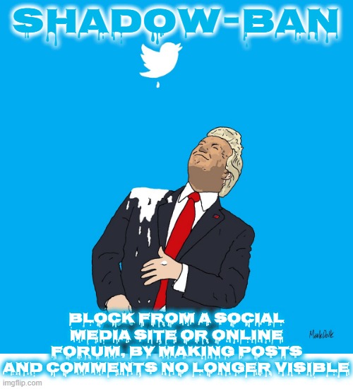 SHADOW-BAN | SHADOW-BAN; BLOCK FROM A SOCIAL MEDIA SITE OR ONLINE FORUM, BY MAKING POSTS AND COMMENTS NO LONGER VISIBLE | image tagged in shadow-ban,troll,spam,banned,block,social media | made w/ Imgflip meme maker