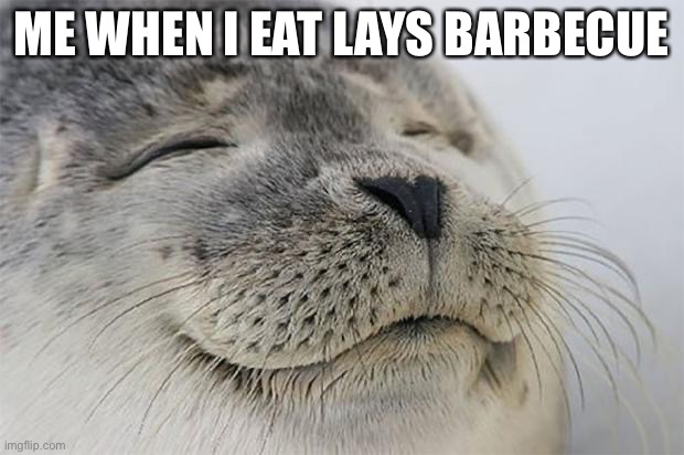 I really like lays barbecue | ME WHEN I EAT LAYS BARBECUE | image tagged in memes,satisfied seal | made w/ Imgflip meme maker