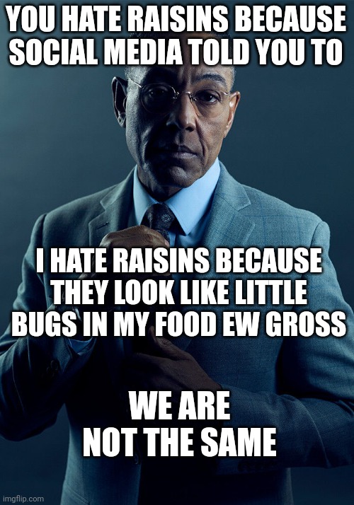 Gus Fring we are not the same | YOU HATE RAISINS BECAUSE SOCIAL MEDIA TOLD YOU TO; I HATE RAISINS BECAUSE THEY LOOK LIKE LITTLE BUGS IN MY FOOD EW GROSS; WE ARE NOT THE SAME | image tagged in gus fring we are not the same | made w/ Imgflip meme maker