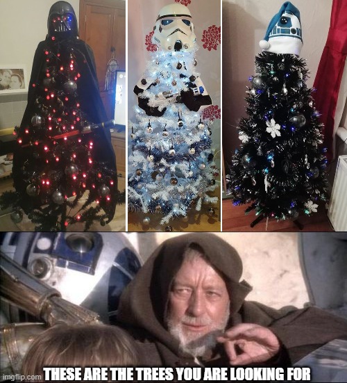 Best christmas tress | THESE ARE THE TREES YOU ARE LOOKING FOR | image tagged in memes,these aren't the droids you were looking for,star wars,merry christmas | made w/ Imgflip meme maker