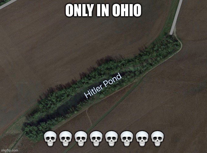 Ahhhhh | ONLY IN OHIO; 💀💀💀💀💀💀💀💀 | image tagged in ohio | made w/ Imgflip meme maker