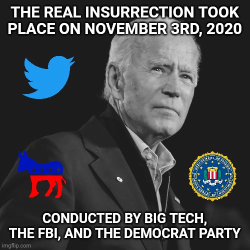 Never forget who the real insurrectionists are. | THE REAL INSURRECTION TOOK PLACE ON NOVEMBER 3RD, 2020; CONDUCTED BY BIG TECH, THE FBI, AND THE DEMOCRAT PARTY | image tagged in memes | made w/ Imgflip meme maker