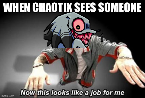 Now this looks like a job for me | WHEN CHAOTIX SEES SOMEONE | image tagged in now this looks like a job for me,friday night funkin,knuckles | made w/ Imgflip meme maker