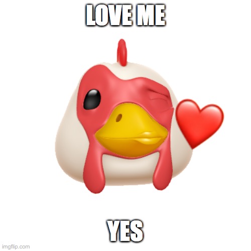 love me | LOVE ME; YES | image tagged in chicken | made w/ Imgflip meme maker