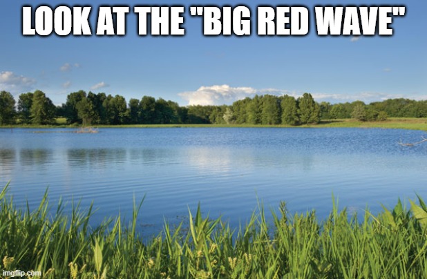 The red wave | LOOK AT THE "BIG RED WAVE" | image tagged in forden pond,memes,maga,politics,losers,trump is a moron | made w/ Imgflip meme maker