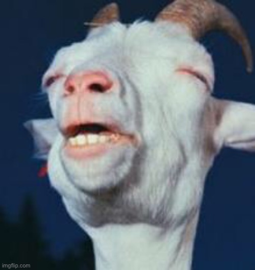goat | image tagged in goat | made w/ Imgflip meme maker