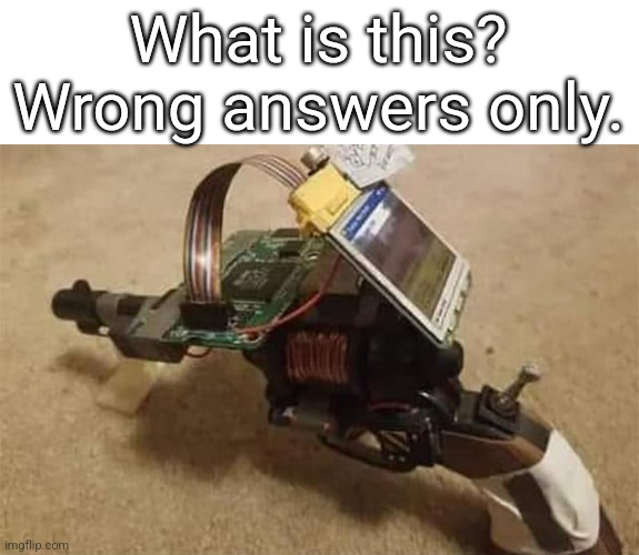 What is this? Wrong answers only. | image tagged in funny | made w/ Imgflip meme maker