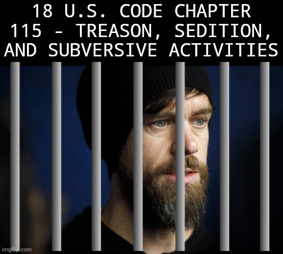 Lock his ass up. | 18 U.S. CODE CHAPTER 115 - TREASON, SEDITION, AND SUBVERSIVE ACTIVITIES | image tagged in memes | made w/ Imgflip meme maker