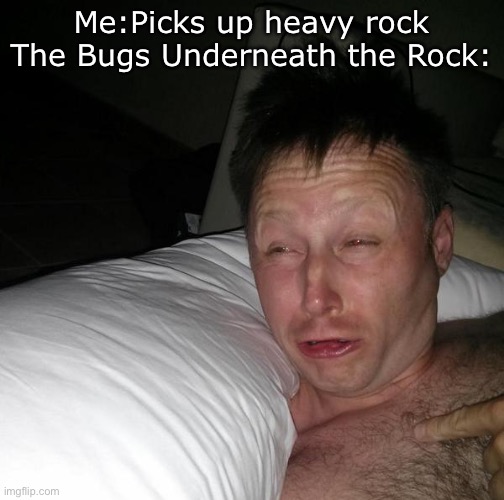 Bugs be like | Me:Picks up heavy rock
The Bugs Underneath the Rock: | image tagged in limmy waking up,bug,bugs,memes,funny memes | made w/ Imgflip meme maker