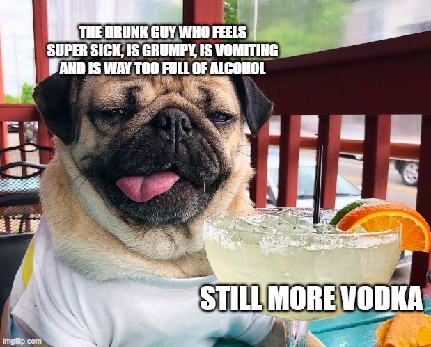 Alcoholic Pug | THE DRUNK GUY WHO FEELS SUPER SICK, IS GRUMPY, IS VOMITING AND IS WAY TOO FULL OF ALCOHOL; STILL MORE VODKA | image tagged in unsee juice | made w/ Imgflip meme maker