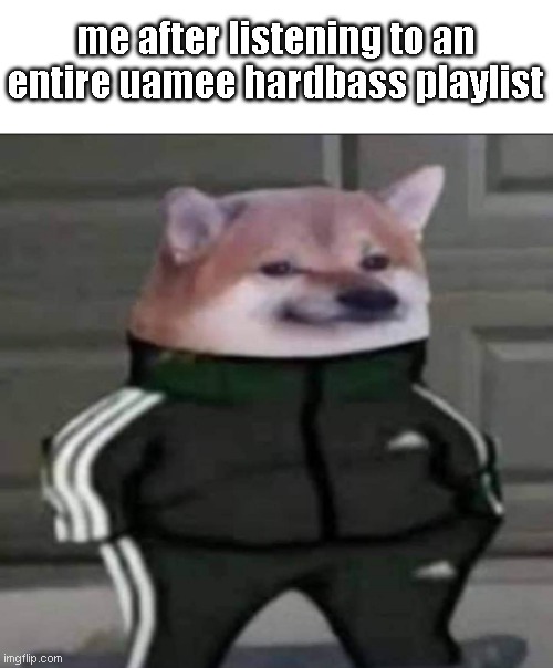 Slav doge | me after listening to an entire uamee hardbass playlist | image tagged in slav doge,uamee,hardbass | made w/ Imgflip meme maker