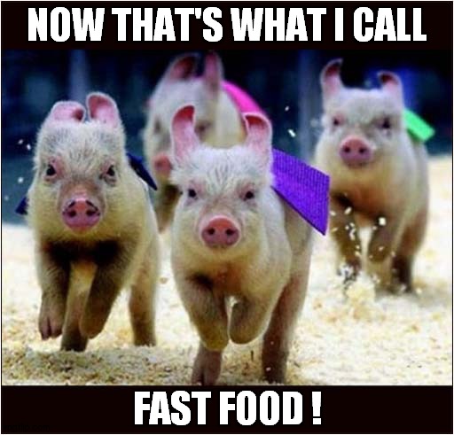 Piglet Racing ! | NOW THAT'S WHAT I CALL; FAST FOOD ! | image tagged in piglet,racing,fast food,dark humour | made w/ Imgflip meme maker