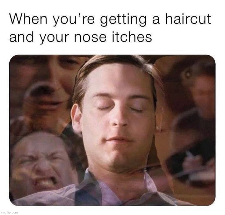 Literally one of the worst feelings | image tagged in hair cut,memes,funny,relatable,repost | made w/ Imgflip meme maker