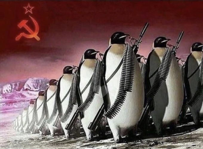 Penguin revoulution | image tagged in penguin revoulution | made w/ Imgflip meme maker