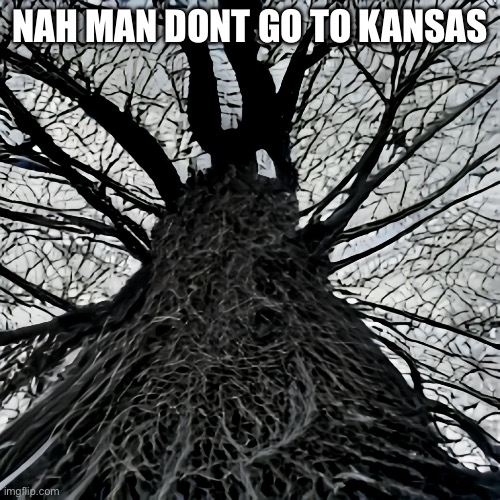 Nah man no Kansas ty | NAH MAN DONT GO TO KANSAS | made w/ Imgflip meme maker