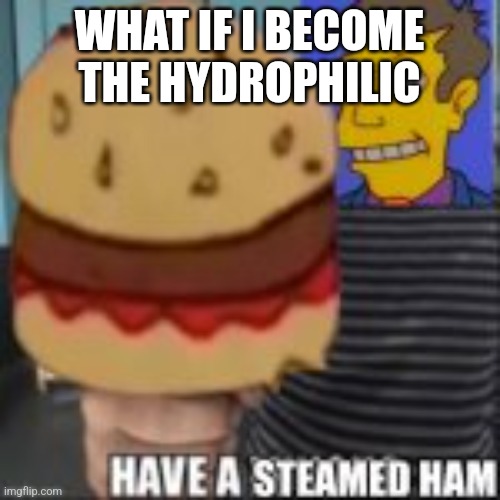 Have a steamed ham | WHAT IF I BECOME THE HYDROPHILIC | image tagged in have a steamed ham | made w/ Imgflip meme maker