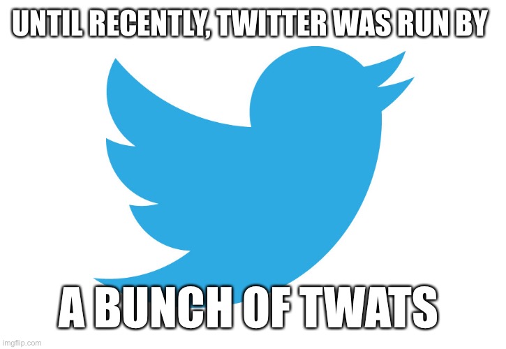 What a bunch of tears! | UNTIL RECENTLY, TWITTER WAS RUN BY; A BUNCH OF TWATS | image tagged in twitter,twats | made w/ Imgflip meme maker