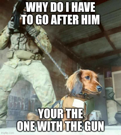Military Dachshund | WHY DO I HAVE TO GO AFTER HIM; YOUR THE ONE WITH THE GUN | image tagged in military dachshund | made w/ Imgflip meme maker