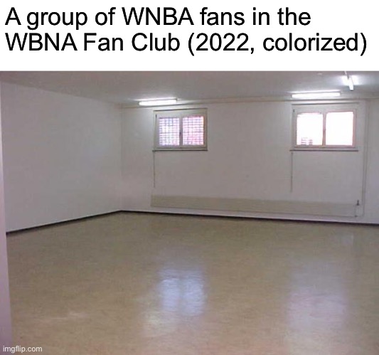 WNBA sucks | A group of WNBA fans in the WBNA Fan Club (2022, colorized) | image tagged in empty room | made w/ Imgflip meme maker