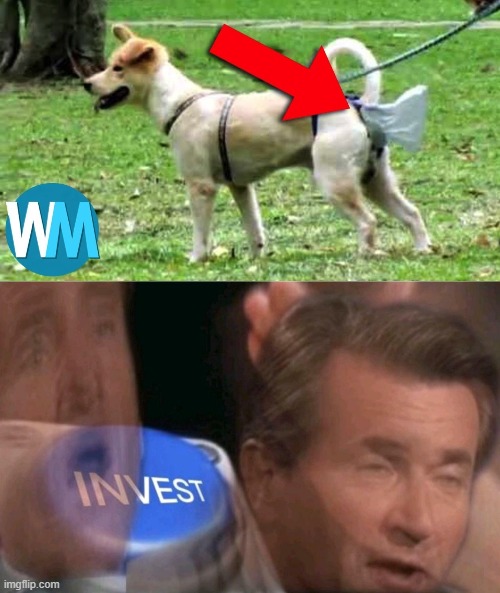 Intresting | image tagged in invest,funny,dog,poop | made w/ Imgflip meme maker