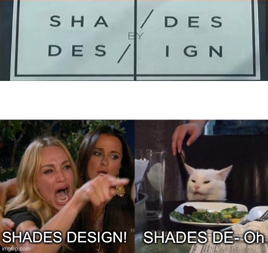 You win this time | SHADES DESIGN! SHADES DE- Oh | image tagged in memes,woman yelling at cat | made w/ Imgflip meme maker