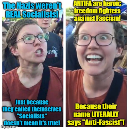 The Fascists of the future will call themselves Anti-Fascists | ANTIFA are heroic freedom fighters against Fascism! The Nazis weren't REAL Socialists! Just because they called themselves "Socialists" doesn't mean it's true! Because their name LITERALLY says "Anti-Fascist"! | image tagged in social justice warrior hypocrisy,nazis,antifa,woke,double standard,cognitive dissonance | made w/ Imgflip meme maker